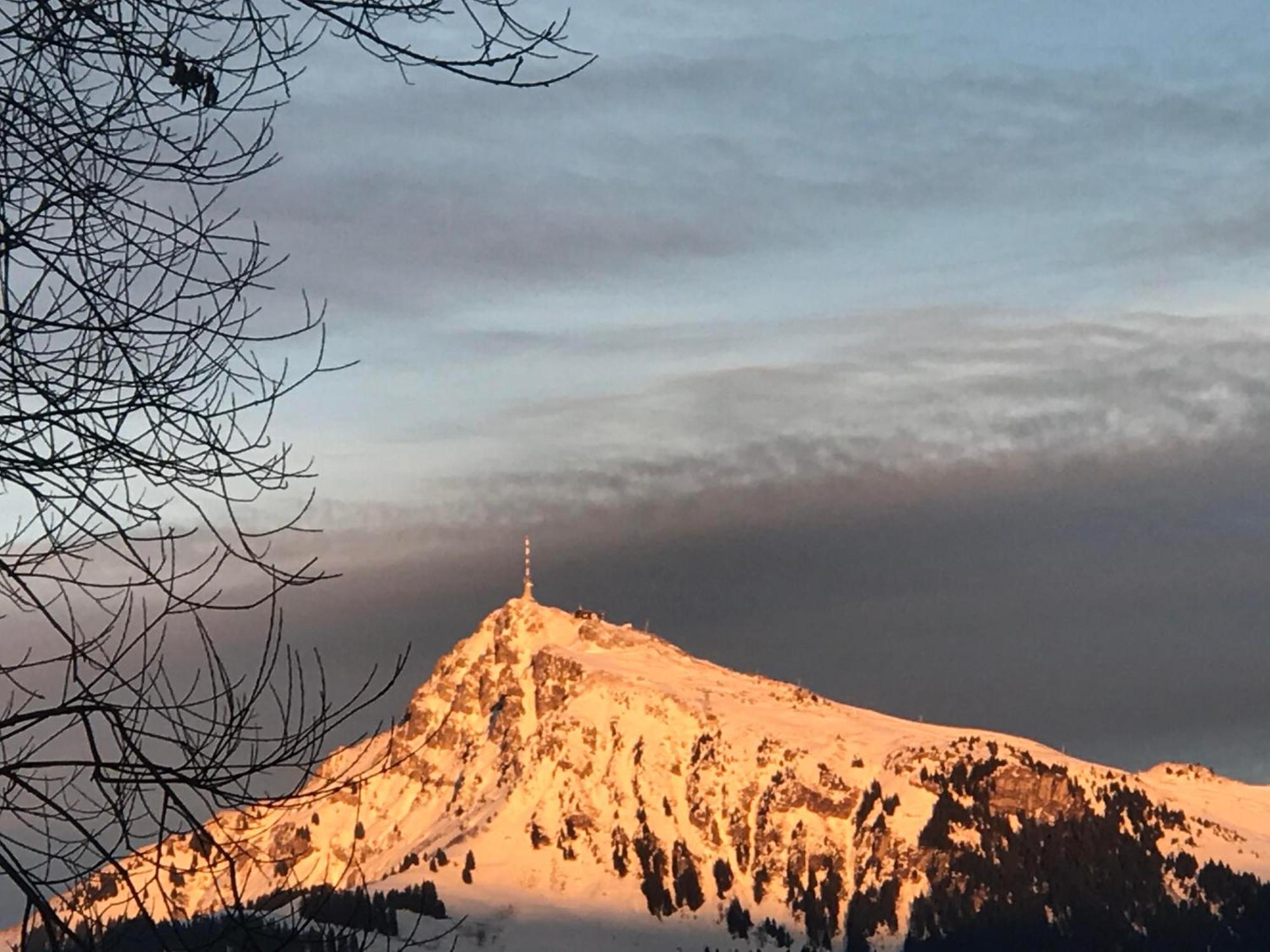 Fleckalm Chalets Kirchberg in Tirol Buitenkant foto